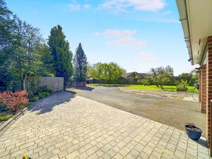 Photo 12- click for photo gallery